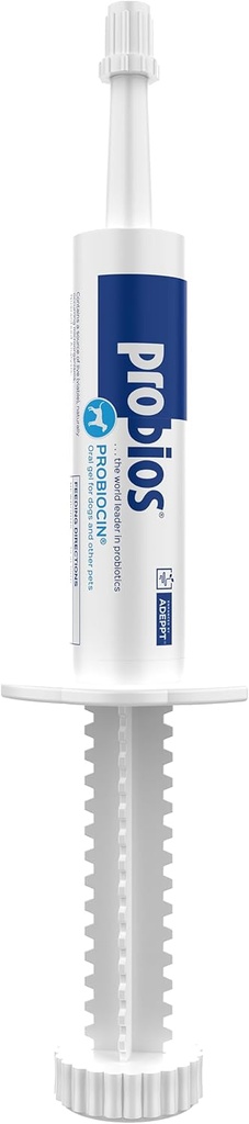 Probios Probiocin Oral Pet Gel Köpekler ve Kediler için Probiyotik Supplement for Digestive & Immune Support, 15 g Tube