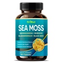 Ashwagandha ile Premium Deniz Moss, Burdock Bladderwrack, Immune System, Skin, Digestion & Energy- Made in the USA (150 Kont)