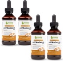Maxx Herb Astragalus Kökleri - Max Strength Liquid Tincture Absorbs Immune Support and mental Clarity - 4 Şişe, 4 Oz Her (240 Hizmet)