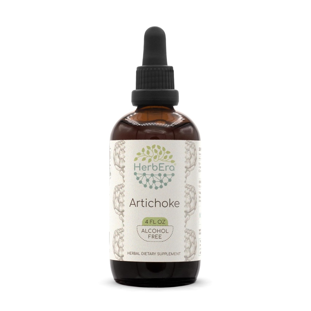 HerbEra Artichoke B120 Alcohol-Free Herbal Extract Tincture, Concentrated Liquid Drops Natural Artichoke (Cynara scolymus) (4 fl oz)