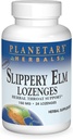 Gezegensel Herbals Slippery Elm Lozenges, Herbal Throat Desteği, 24 Lozenge