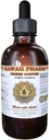 Yeşil Kahve Sıvısı, Yeşil Kahve (Coffea Arabica) Bean Toz Tincture Supplement 4 ozz