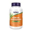 Şimdi Tamamlar, KSM-66 Ashwagandha®, Stres ve Uyku Desteği, 90 Veg Capsules