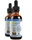 Uricel - Gelişmiş Uric Acid Support & Cleanse Supplement - Daha İyi Abhidrasyon için Sıvı Teslimat - Tart Cherry, Chanca Piedra, Celery Seed, Turmeric & More!