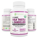 Max Abxia USDA Organik Süt Butle Potent 5:1 Yoğun Ekstraksiyon (2000 mg Strength) & Organik Dandelion Root | Silymarin Anti Flavonoid | Liver Support Supplement (60 Kont)