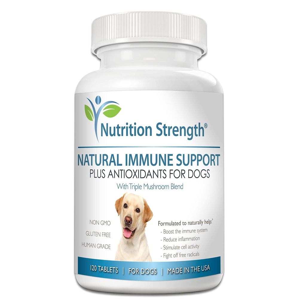 Immune Support for Dogs Plus Antioksi, Reishi, Shiitake, Maitake, Türkiye Köpekler için Tail Mushrooms, Coenzyme Q10, Selenium, Vitamin A, 120 Chewable Tabletler