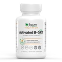 Jigsaw Health Aktif B w/SRT | Sağlıklı Sinir Sistemi ve Enerji Üretimi | 120 Tablet