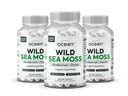 Organik Okyanus Vahşi Deniz Moss Capsules - 100 Organik İrlandalı Deniz Moss Organik Klorella, Enerji Için Suçlama ve Vitamin D, Lung Health ve Yourroid Support for Women and Men - 3 Şişes