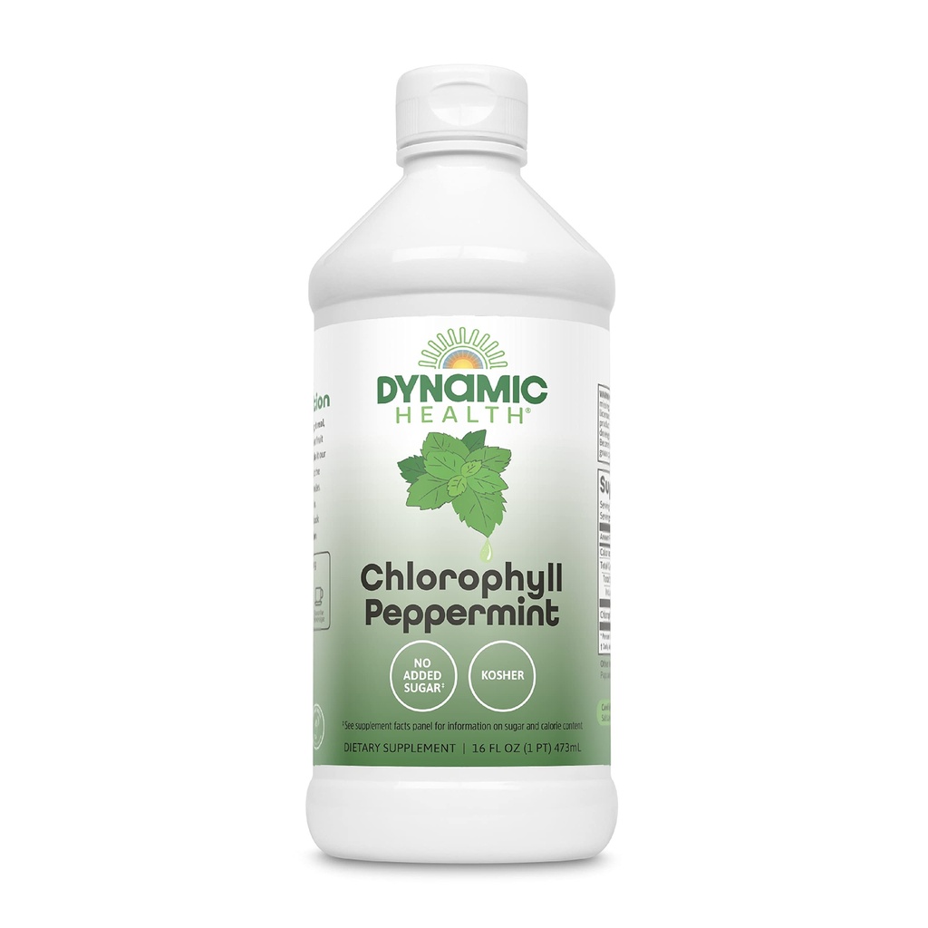 Dinamik Sağlık Sıvı Klorophyll Peppermint 100 mg, sodyum Copper Chlorophyllins with Alfalfa and Mulberry Leaves, Plant Cleanse and Deodoring, Nodrew Sugar, 16 Fl Oz