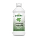 Dinamik Sağlık Sıvı Klorophyll Peppermint 100 mg, sodyum Copper Chlorophyllins with Alfalfa and Mulberry Leaves, Plant Cleanse and Deodoring, Nodrew Sugar, 16 Fl Oz