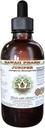 Juniper Alkol-Free Liquid Extract, Organik Juniper (Juniperus Monosperma) kuru Berry Glycerite Hawaii Pharm Natural Herbal Supplement 4 ozz
