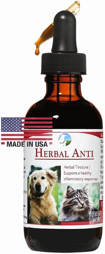 Vitality Science Herbal Anti for Cats and Dogs | Plantive | GI Tract + Kolon Health Supplement (0.5 oz)