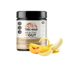 TERRA ORIGIN Sağlıklı Gut Peach Banana | L-Glutamine, çinko, Glucosamine, Terpery Elm Bark, Marshmallow Kök ve Daha Fazla!
