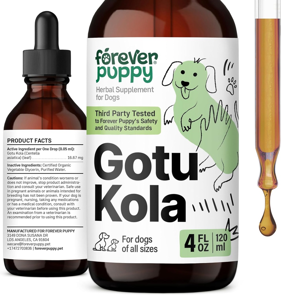 Forever Puppy Gotu Kola Drops for Dogs - Gotu Kola Extract & Centella Asiatica for Brain Health Support - Nutritional Brain Supplement for Dogs of All Breeds & Sizes - 4 oz