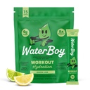 Waterboy Workout Hydration | 2,960mg Sugar Free Electrolyte Toz Paketleri | L-Glutamine + Vitaminler | No Sugar, All Natural, Gluten Free | 15 Iklim Mixes (Lemon Lime)