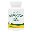 NaturesPlus Pantothenic Acid, Sustained Release - 1000 mg, 60 Tablet - Yüksek Lisans Vitamini B5 Supplement - Vegetarian, Gluten Free - 60 Hizmet