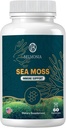 Deniz Moss Gummies – Immune Strength & Skin Health, Organik İrlandalı Moss Gummy Bears, 60 Kont, Vegan, Superfood Chewable Supplement for Endurance & Health