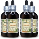 Cordyceps (Cordyceps Sinensis) Tincture, Organic Dried Mushroom Powder Liquid Extract (Brand Name: HerbalTerra, Proudly Made in USA) 4x4 fl.oz (4x120 ml)