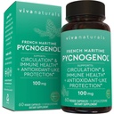 Viva Naturals Pycnogenol - 100 mg Fransız Deniz Ev Bark Ekstraksiyon - Destekler Circulation, Antioksi-Like Activity, Joints & Immune Health and Function – 60 Veggie Capsules