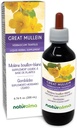 Naturalma Great Mullein veya Common Mullein (Verbascum thapsus) Flower and Leaf Alkol-Free Tincture - 6.76 fl oz Sıvı Ekstraksiyon - Herbal Supplement - Vegan