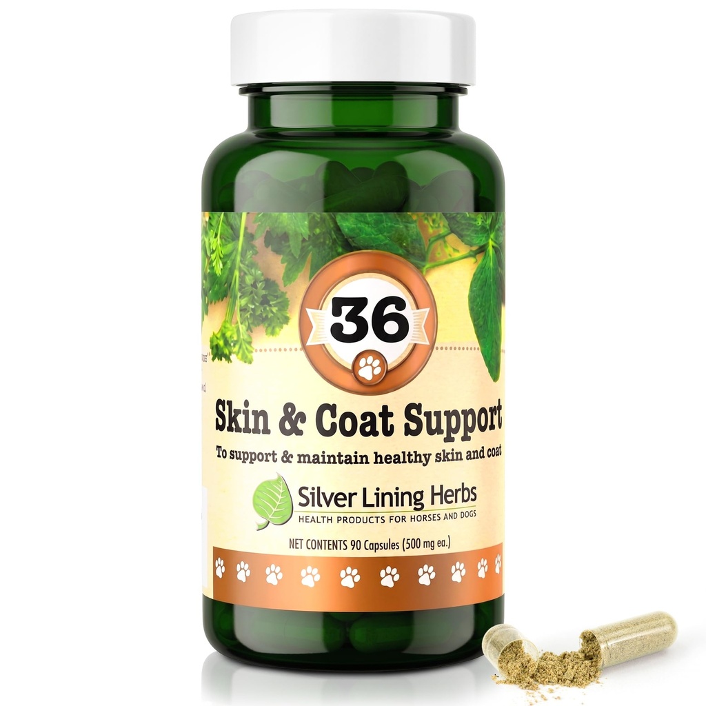 Silver Lining Herbs 36 Canine Skin & Coat Support - Natural Herbal Supplement to Fortify Dogs Against the Environment - Herbal Skin and Coat Supplement for Dogs - 90 Capsules