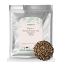 Starwest Botaniks Burdock Kök Organik - Antioksitlerin Doğal Kaynağı, Loose Herb, Rice, Soup, & Stews, Cut & Sifted, Sertifikalı Kosher, Non-GMO - Bulk 1 lb Bag