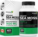 Yeni Actives Sea Moss Triple-Action Antioksi Mix with BioPerine – Organik İrlandalı Deniz Moss 500MG, Bladderwrack 500MG & Burdock Root 400MG per 2 Capsules - Made in Canada - 60 Capsules
