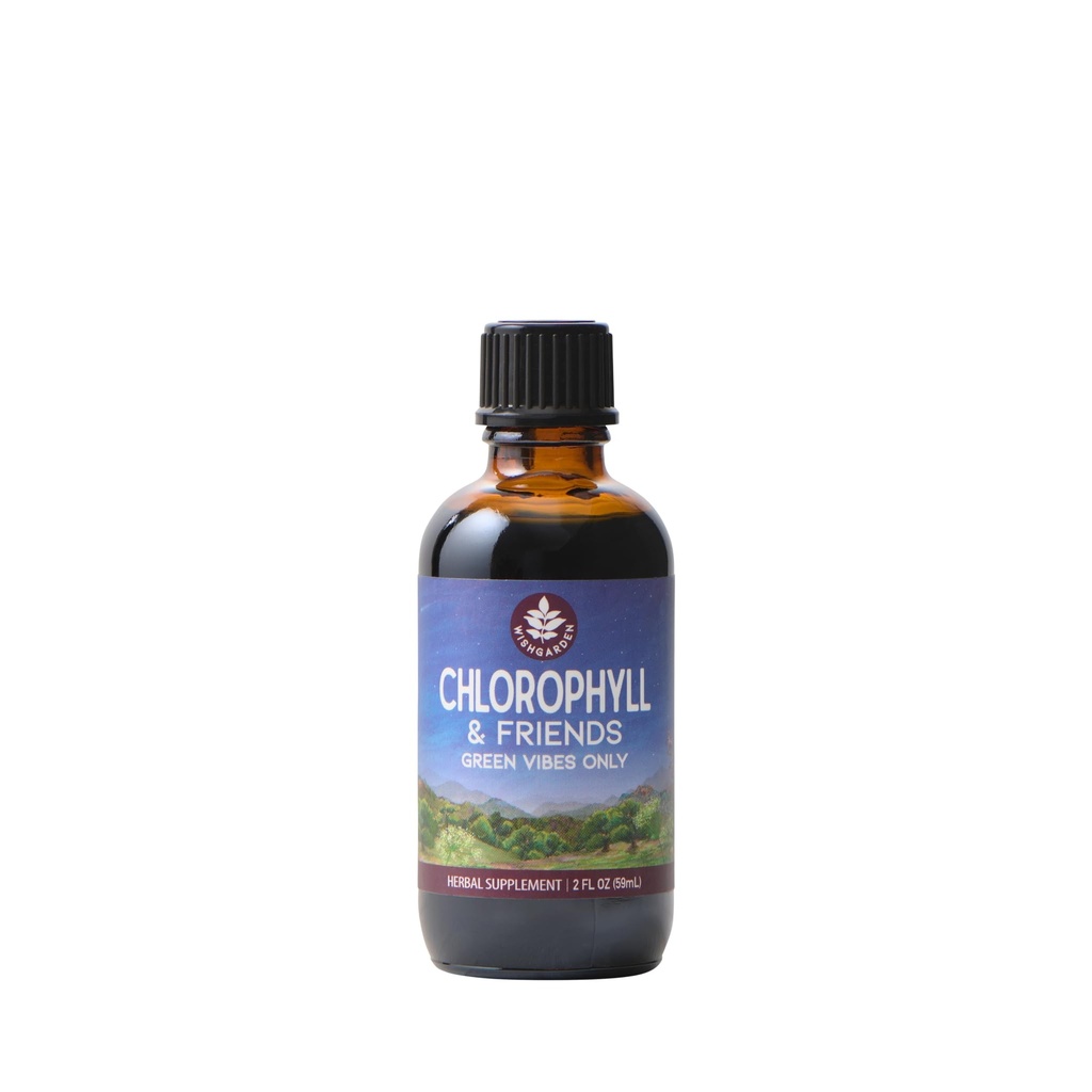 WishGarden Herbs Chlorophyll & Friends - Chlorophyll Liquid Drops with Nettle Leaf, Holy Basil, Moringa Leaf & Peppermint Leaf, Supports Artan Enerji, Sağlıklı Immune, & Stres Cevap, 2oz