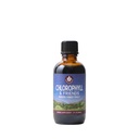 WishGarden Herbs Chlorophyll & Friends - Chlorophyll Liquid Drops with Nettle Leaf, Holy Basil, Moringa Leaf & Peppermint Leaf, Supports Artan Enerji, Sağlıklı Immune, & Stres Cevap, 2oz