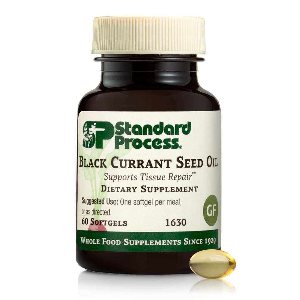 Standart Süreç Black Currant Tohum Yağı - Kan Akışı ve Sağlık Destek - Sağlıklı Immune Sistem Fonksiyonları - Doğal Doku Bakım - Gluten-Free - 60 Softgels (60 Hizmet)