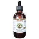 Brahmi Alkol Özgür Sıvı, Organik Brahmi Sıvı (Bacopa Monnieri) Tüm kuru Herb Glycerite Hawaii Pharm Natural Herbal Supplement 2 oz