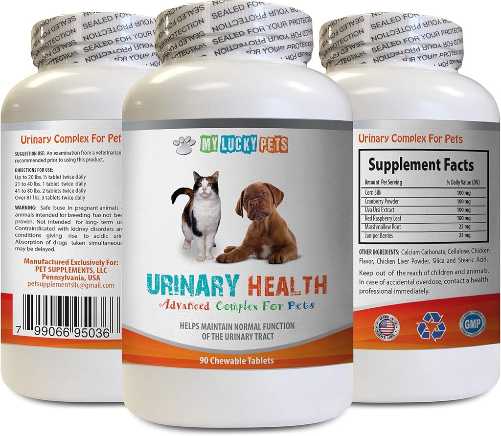 Kedi UTI Relief - Evcil hayvanlar Urinary Health Complex - Köpekler ve Kediler için - Gelişmiş Bladder Desteği - Cat Cranberry urinar - 1 Şişe (90 Tedavi)