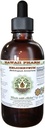 Helichrysum Alkol Ücretsiz Sıvı Ekstraksiyon, Organik Helichrysum (Helichrysum Arenarium) kuru Çiçek Glycerite Hawaii Pharm Natural Herbal Supplement 2 ozz