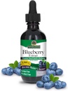 Natures Answer's Alkol Özgür Blueberry Fruit 1000 mg 2oz Ekstra | Göz ve Vizyon Desteği | Antioksitlerde Yüksek | Kan Circulation | Relieves Red ve Itchy Eyes | Single Count