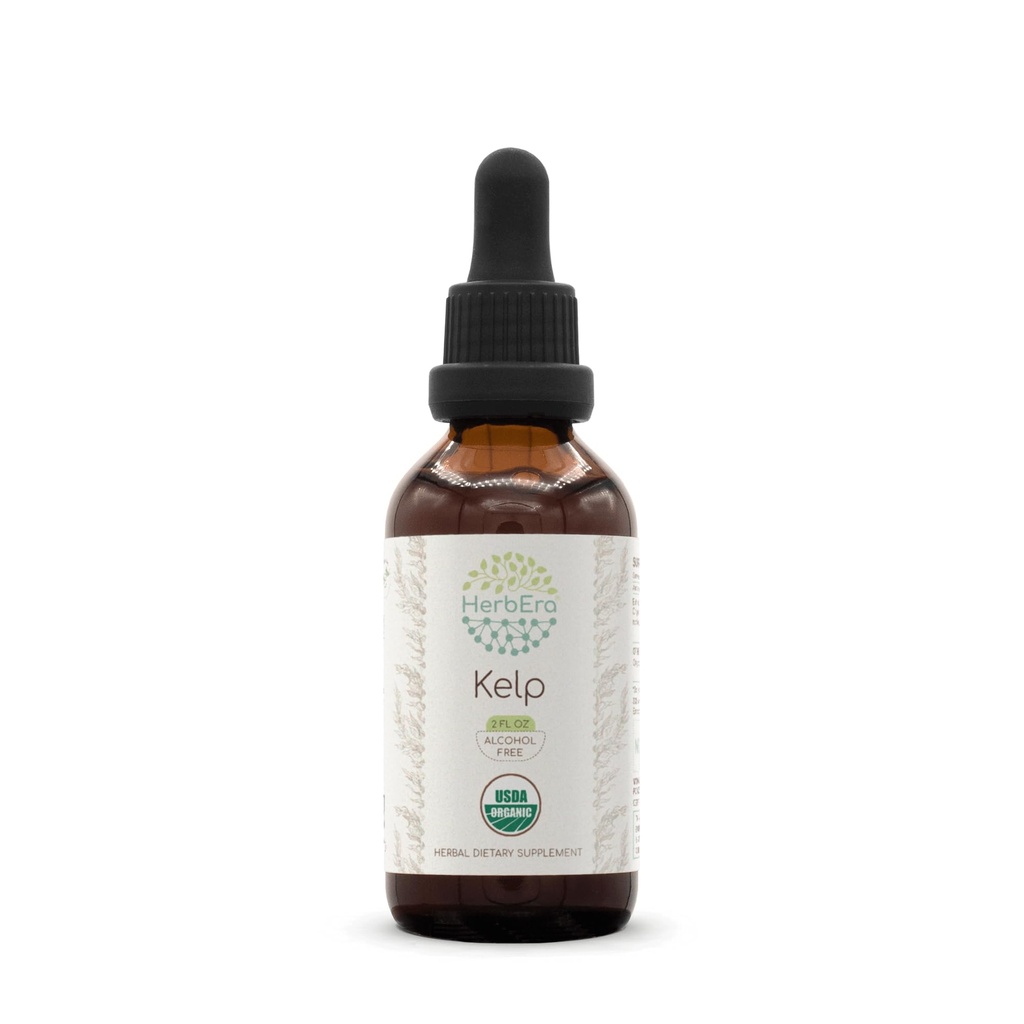 HerbEra Kelp B60 USDA Organik Tincture | Alkol Özgür Tür, Yüksek Lisans Herbal Drops | Sertifikalı Organik Kelp (Ascophyllum nodosum) kuru Plant (2 oz)