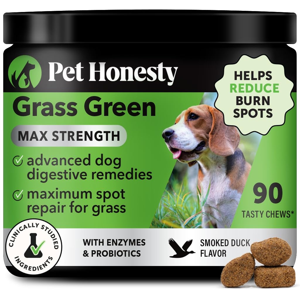 Köpekler için Yeşil Max Strength Chews - Premium Köpek Urine Lawn Spot Saver Supplement - Sağlıklı Digestion, Gut & Urinary Health with Probiyotiks, DL-Methionine & Yucca (90ct Duck Flavor)