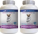 Dog Digestive Remedies - PROBIOTICS for Dogs - Healthy Gut - Stop Gas Diarrhea and Bad Breath - Digestive Boost - Dog probiotics Vitamins - 2 Bottles (120 Treats)