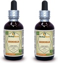 Grindelia (Grindelia Camporum) Tincture, herb Sıvı Tür (Brand Name: HerbalTerra, Proudly Made in USA) 2x2 fl.oz (2x60 ml)