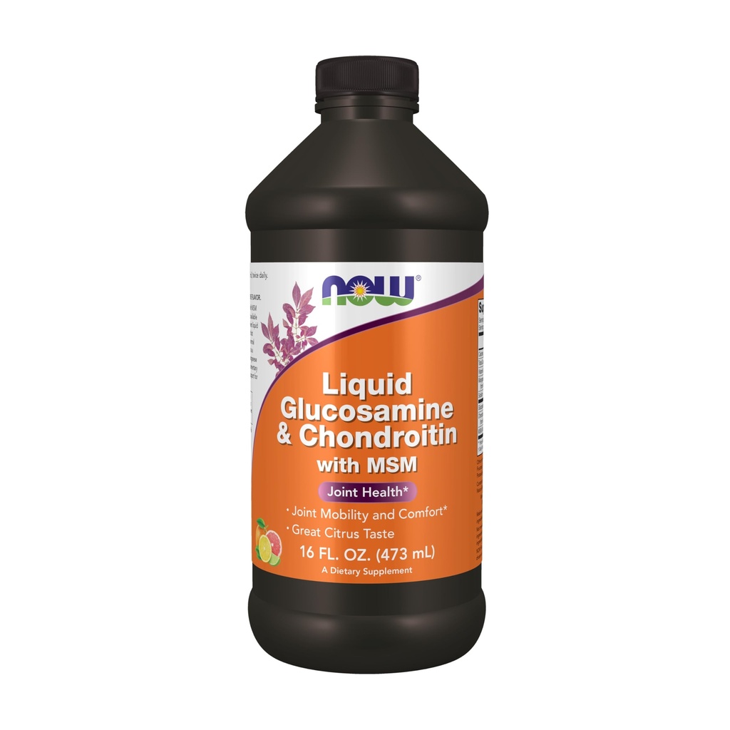 Şimdi Tamamlar, Glucosamine & Chondroitin ile MSM, Sıvı, Ortak Sağlık, Hareketlilik ve Konfor*, 16-Ounce