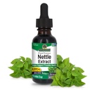 Nature's Answer Nettle Leaf 1oz Extract | Prostate Suppot | Interd Dark Green Nettle Leaf Herbal Supplement | Non-GMO, Kosher, Gluten-Free, & Alkol-Free | Single Count