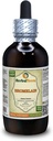 Bromelain (Ananas Comosus) Tincture, ince toz sıvısı (Brand Name: HerbalTerra, Proudly Made in USA) 4 fl.oz (120 ml)