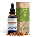 Echinacea Root USDA Organic Tincture | Alkol Özgür Tür, Yüksek Lisans Herbal Drops, Immune System Health | %100 sertifikalı Organik Echinacea Root (Echinacea Purpurea) 2 oz