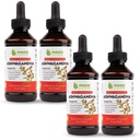 Maxx Herb Ashwagandha Extract – Max Strength Liquid Tincture Absorbs Better Than Capsules or Powder - for Stamina, Memory, and Immune Support – 4 Bottles, 4 Oz Each (240 Servings)