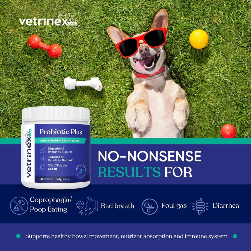 Coprophagia Poop Eating Deterrent & Prevention, Stop & Prevent Stool Eating Treatment - Probiotics for Dogs, Cats and Puppies - Forbids Dog from Eating Poop - Probiotic Powder (120 GMS)