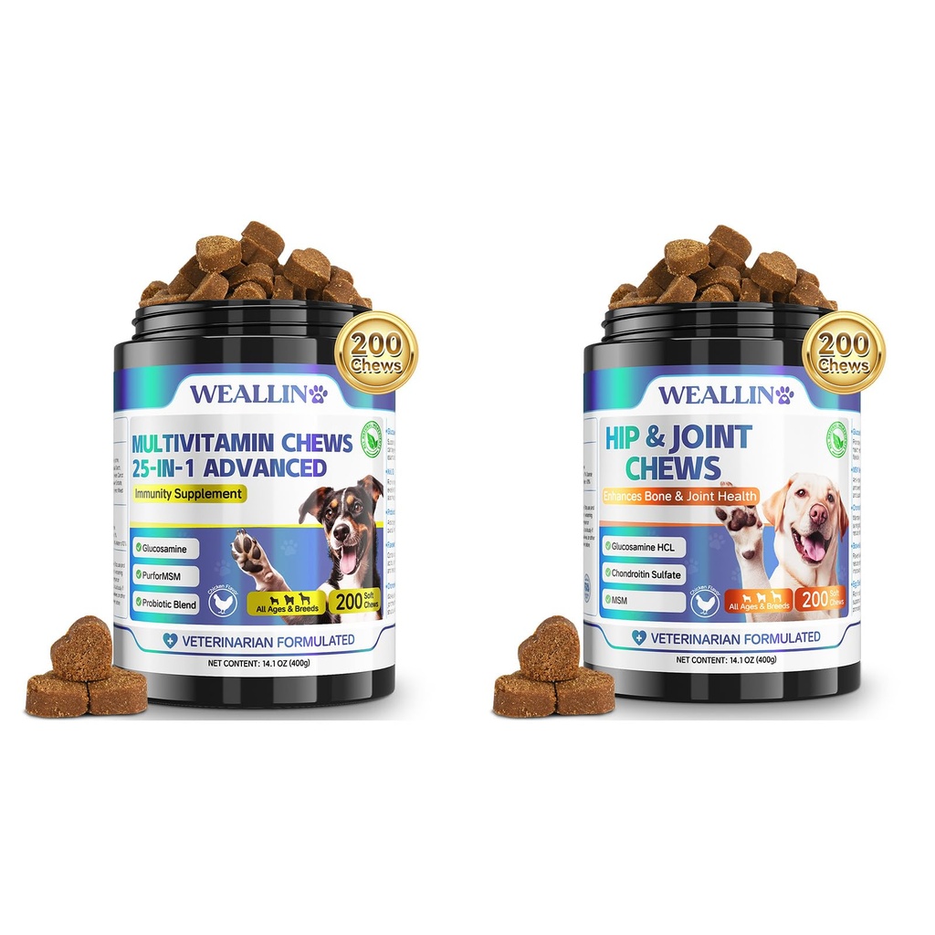 Köpekler için Köpek Vitaminleri ve Ortak Supplement