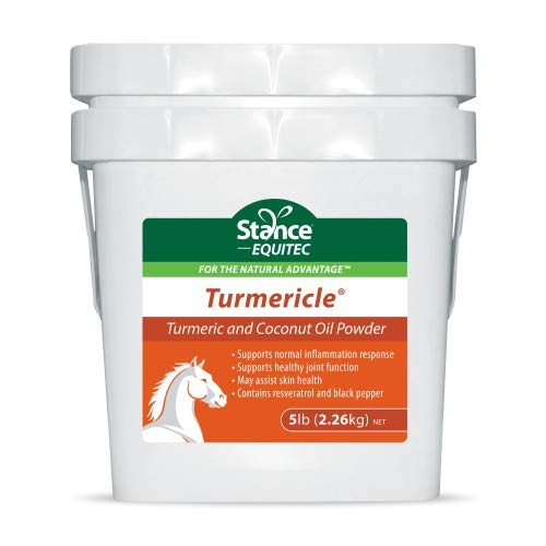 Tozlu Tavşan Yağı ile Atlar için Doğal Turmeric Toz - Sağlıklı Hip & Ortak Fonksiyonl için Turmericle Anti-Inflamatory Horse Supplement - Normal Skin Health
