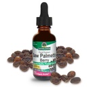 Nature's Answer Palmetto Berry Herbal Supplement'i Organik Alkolle Dönüştürüyor, 1-Fluid Ounce | Supports Prostate Health | Miniread Saç Kaybı | Sağlıklı Bladderderderder
