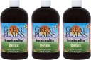 Yerba Prima Great Plains Bentonite Clay - 16 oz (Pack of 3) - Doğal İç Sıvı Clay Temizleme Supplementsing Supplement