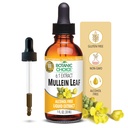 Botanic Choice Mullein Leaf Liquid Extract, Alkol Free, Gluten Free, Geleneksel Respiratory Support 1 Fl. Oz.