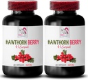hawthorn berry antioxidant - HAWTHORN BERRIES EXTRACT - hawthorn berry extract capsules, berry extract powder, wild berry energy, hawthorn energy pills, hawthorn hair conditioner 2 Bot 120 Capsules